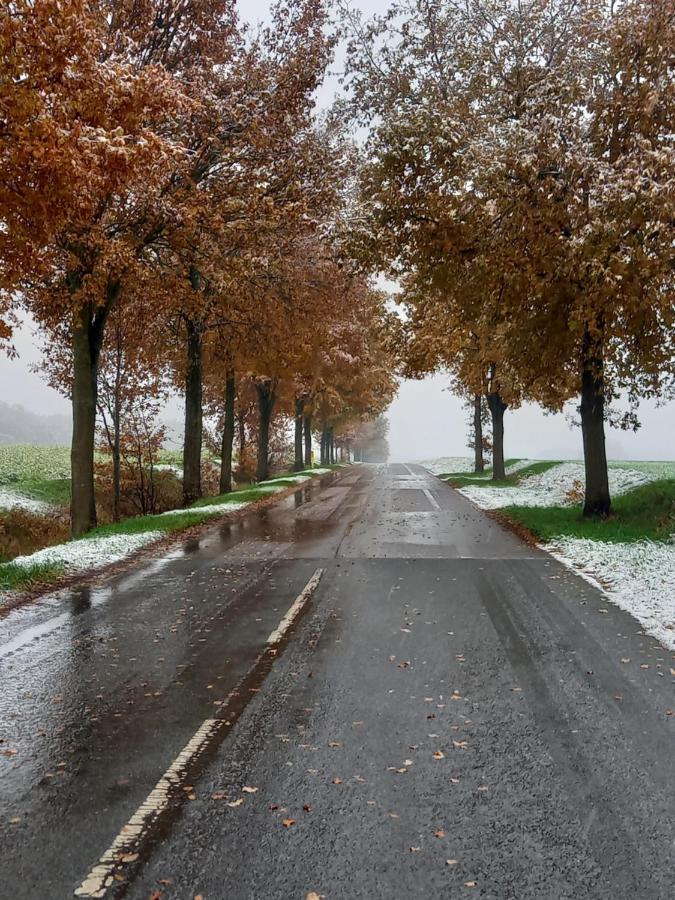 Landidylle Mit Garten, Whirlpool Und Klima Reken Bagian luar foto