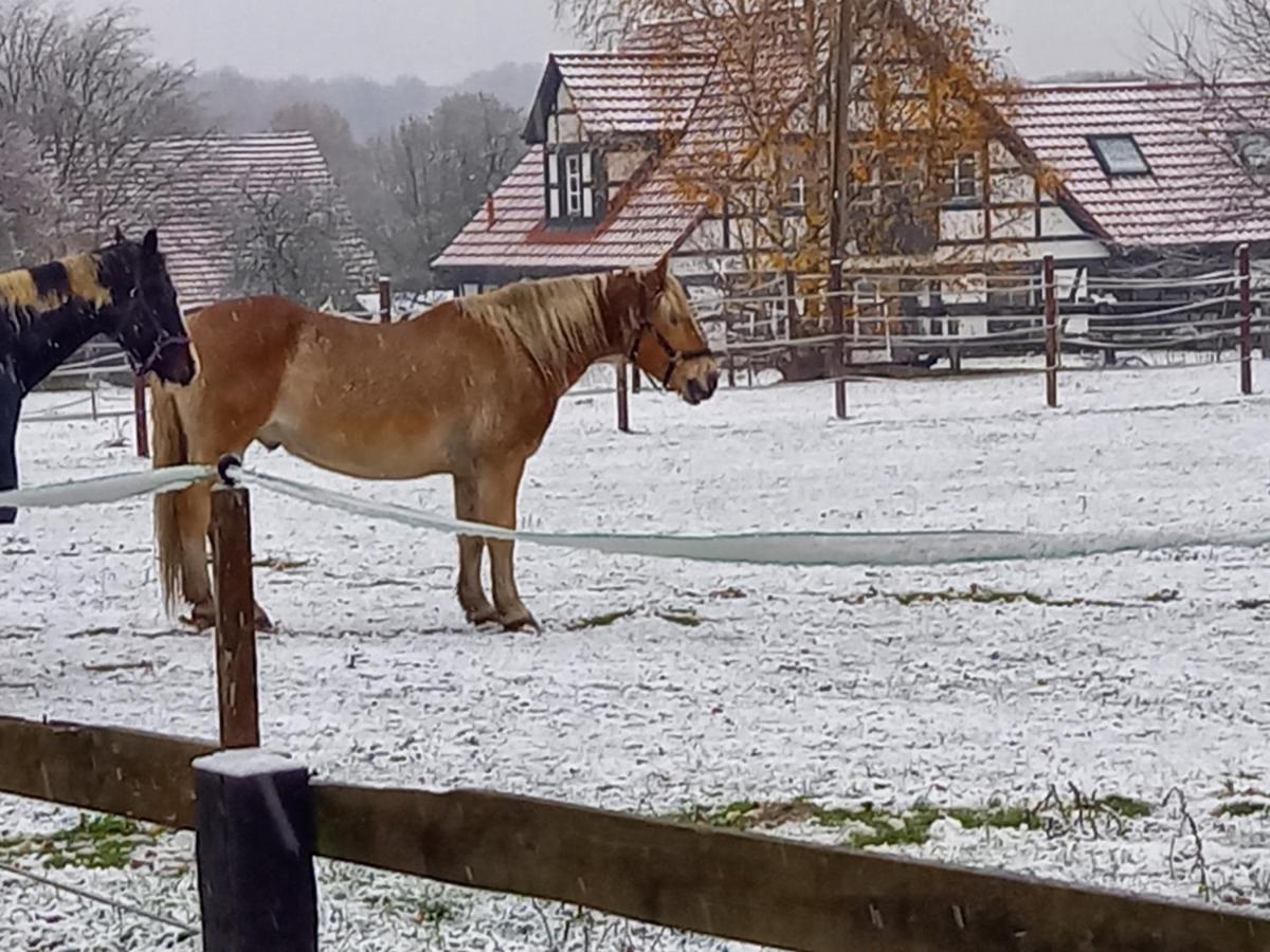 Landidylle Mit Garten, Whirlpool Und Klima Reken Bagian luar foto